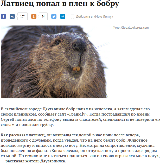 Наглость и беспринципность 80lvl