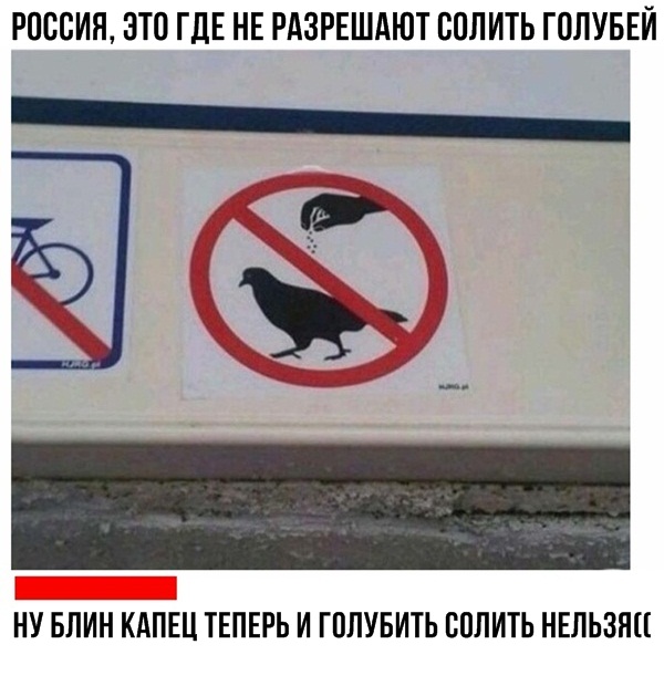 Чутка веселухи
