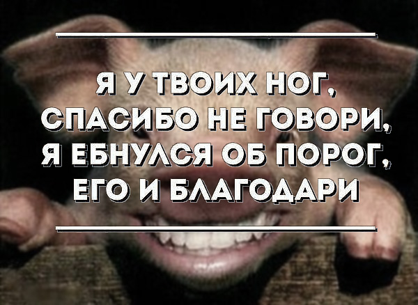 Специфический юмор