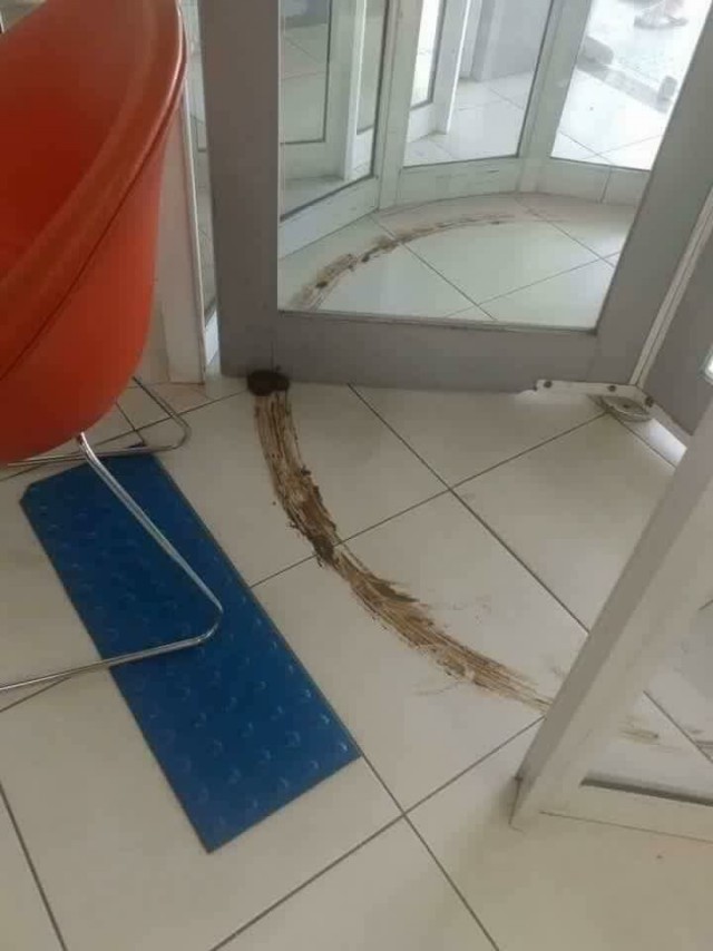 WTF: что тут происходит?