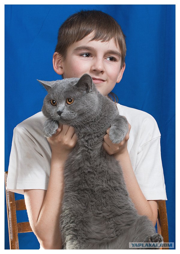 Котейкин вторник! Космический 12.04!