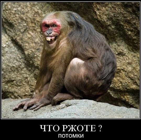 Дагестанская свадьба в Ставрополе