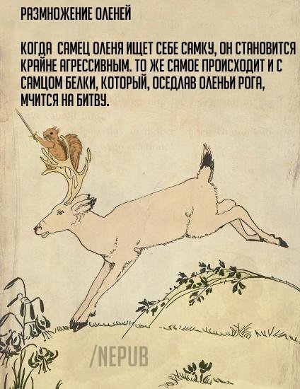 Прикольные и просто красивые картинки 14.08.2019