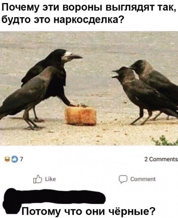 Нестандартный юмор