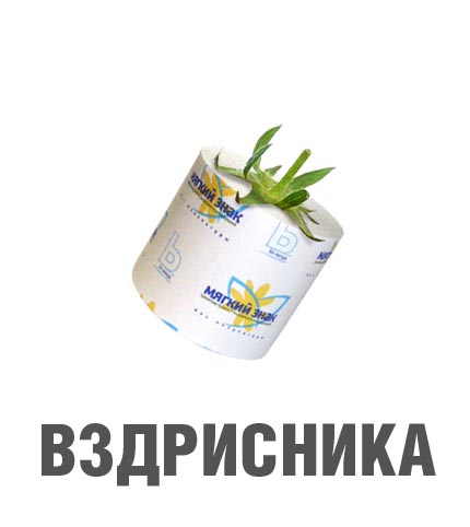 Фотожаба: Лето, фрукты, генетика!