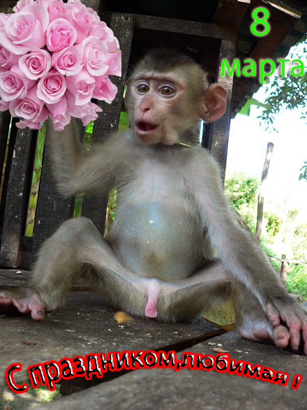 Открытки: 8 Марта