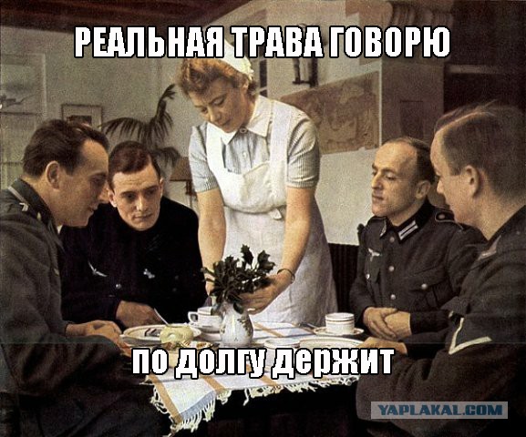 Великая Отечественная война
