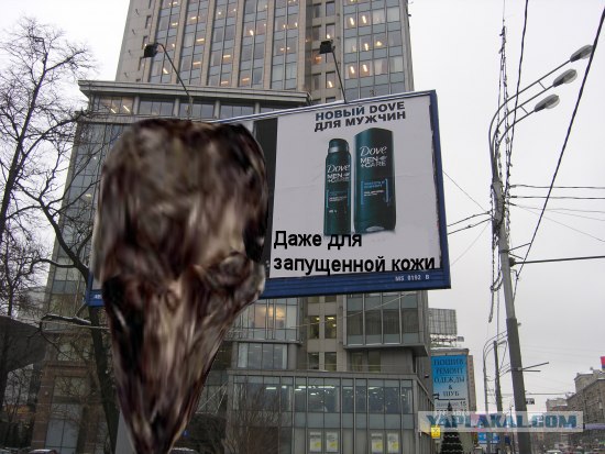 Фотожаба: волосатая подмышка!
