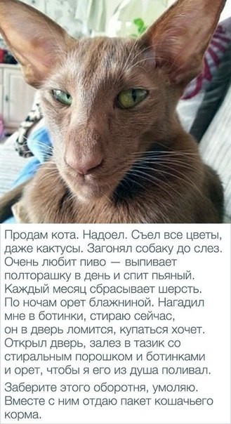 Похититель плохого настроения!