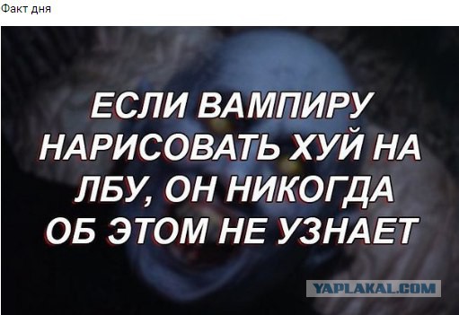 Чернушка 26.12.20