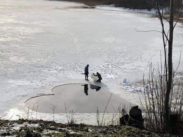 Картинки 12.02.21