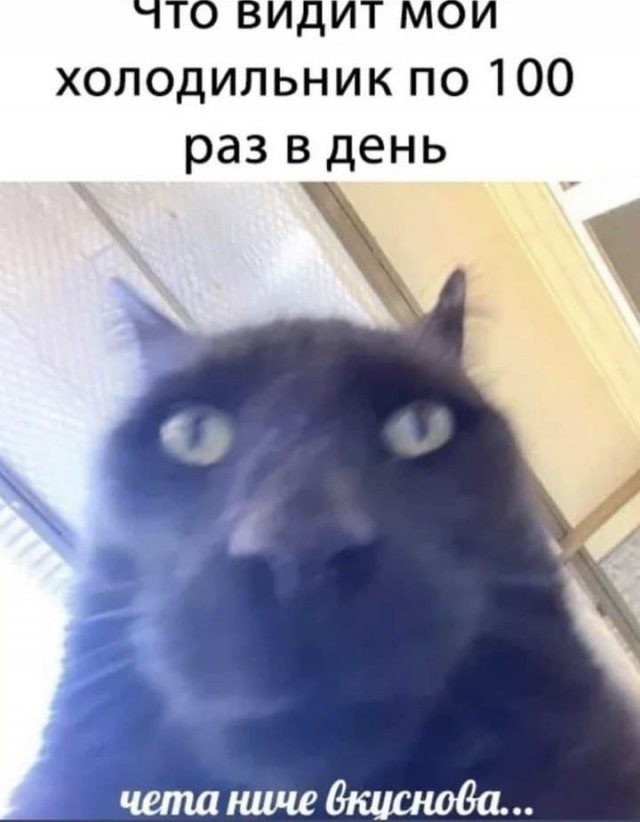 "Солянка" из картинок для улыбнуться или позалипать в среду