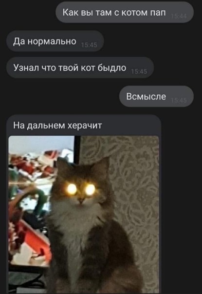 Кретинизмы из сети 18.08.2021