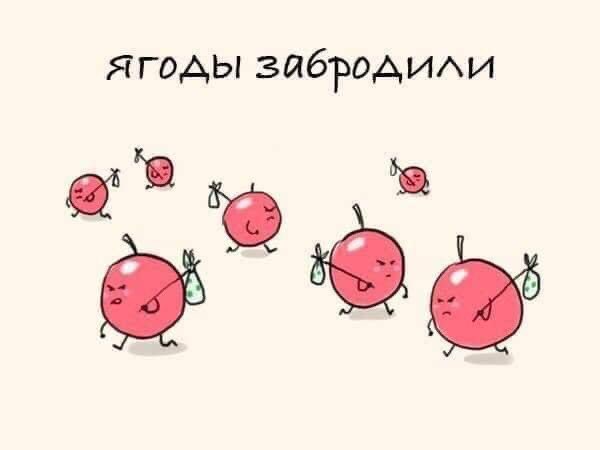 Выборы-дебаты