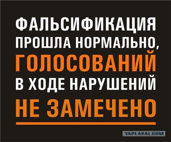 Выборы