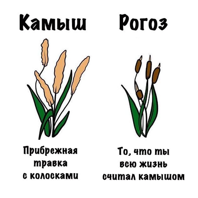 Картинки на субботу