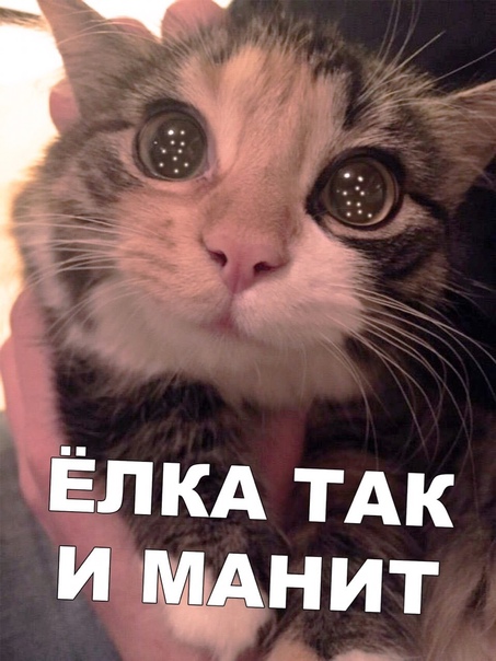 А вот если бы приняли закон, что дети после развода остаются с отцом. Пофантазируем?