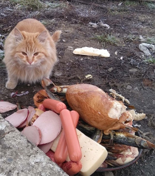 Облом