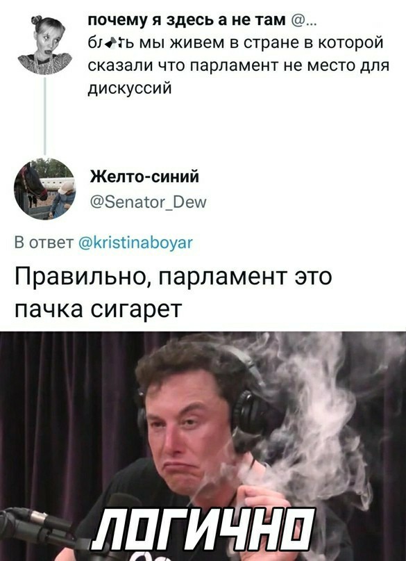 Весёлый полтишок 28.03.22