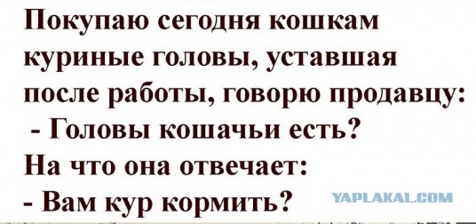 Так себе картинки 21.04.22