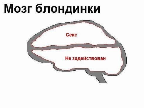 Подборка картNнок весёлых для OLDов