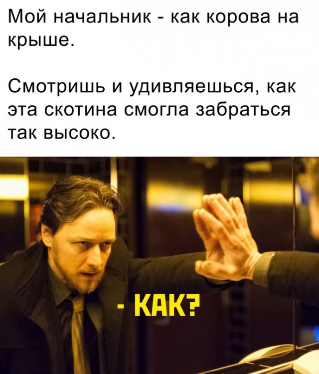 Картинки и мемы для настроения. Выходные близко...