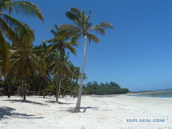 AFRICA - (Эфиопия,Кения,Танзация) 4-16 ноября 2011