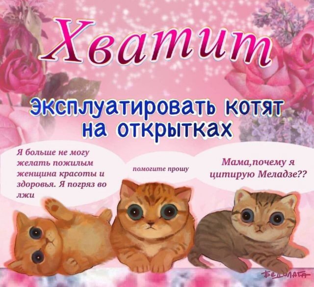 Картинки и мемы для настроения - 125