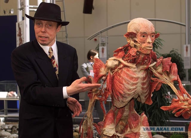 Ковер из Котэ