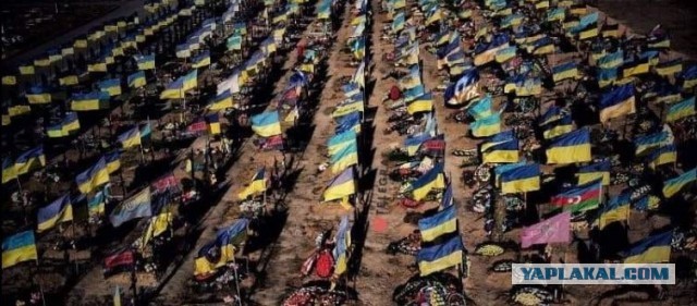 В Мурманске посмертно наградили орденом Мужества погибшего Сергея Морякова