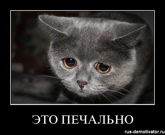 Свежая автожесть