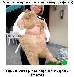 Автодемотиватор на ЯПе