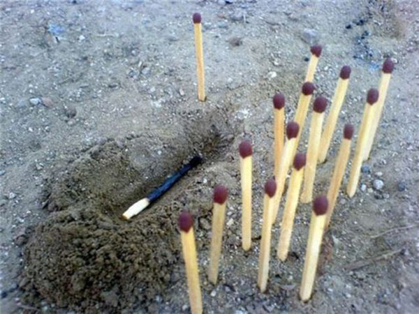 Фотоподпорка мирного времени