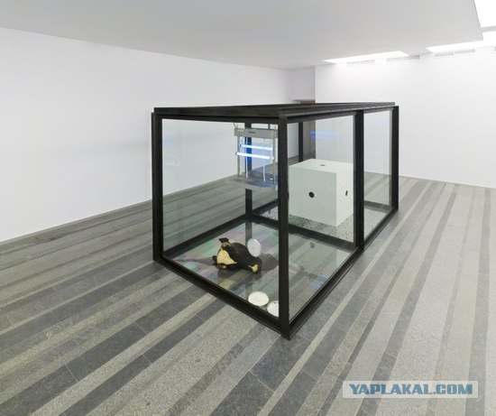 Requiem By Damien Hirst (жесть 20 фот)