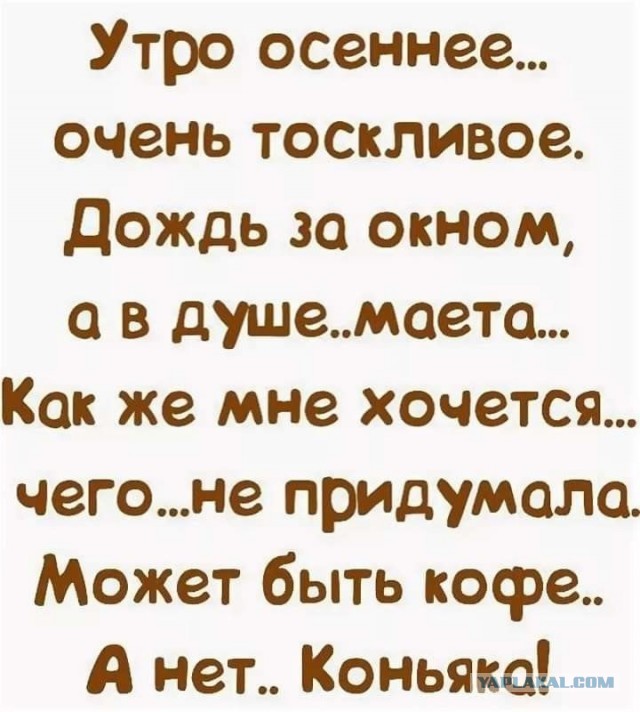 Прикольные и просто красивые картинки 29.10.2024