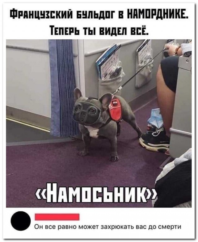 Картинков разных вам..