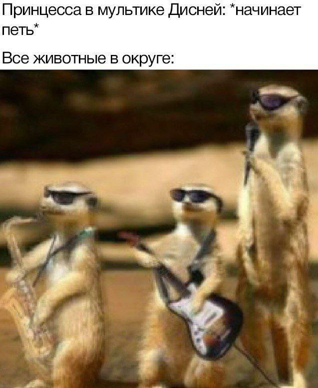 Картинки для деградации 60 (разной степени свежести)
