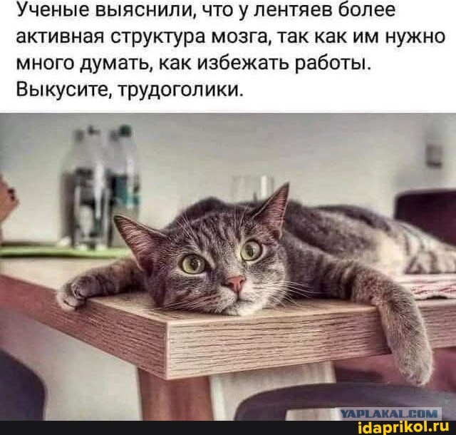 Маленькая пятница 11.11