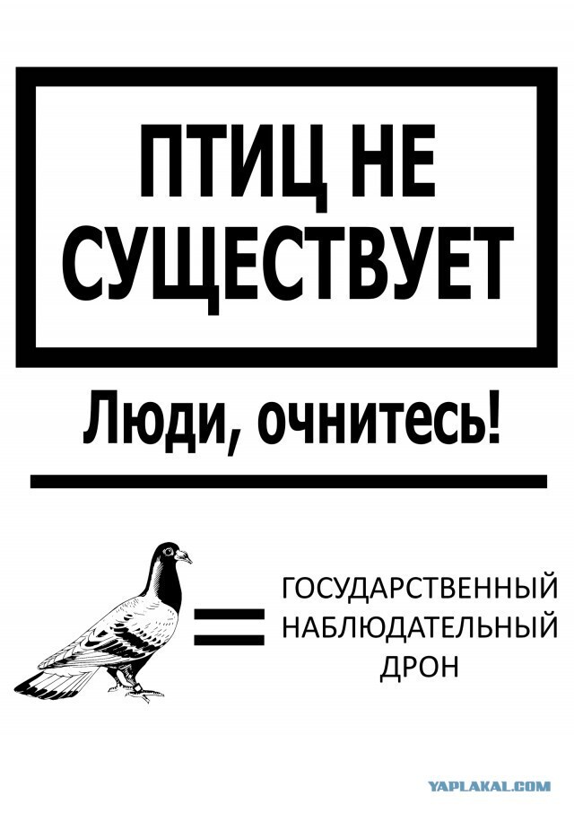 Теория заговора
