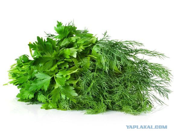 Первый контакт