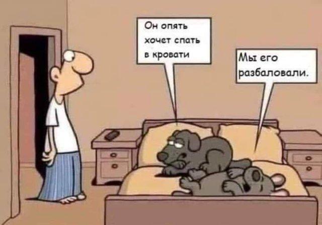 Картинки для деградации 115 (разной степени свежести)