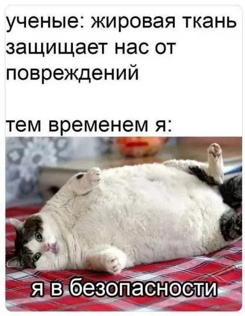 Веселых картинок вам в ленту