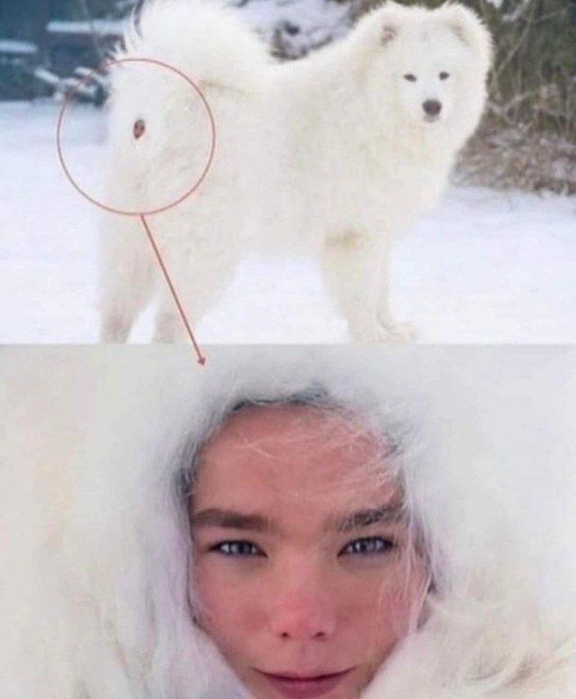 *зачёркнуто*