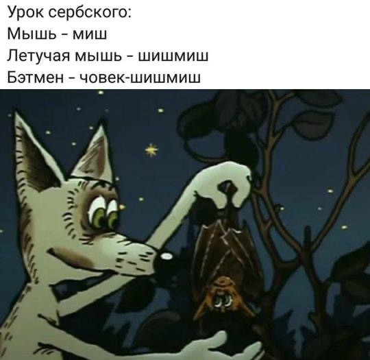Среды картинки