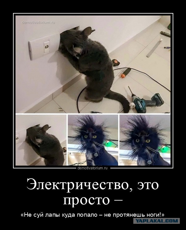 Говорил же - ноль, а ты - фаза, фаза!