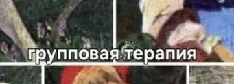 *БАЯН*Приключения Красной Шапочки на аглицком