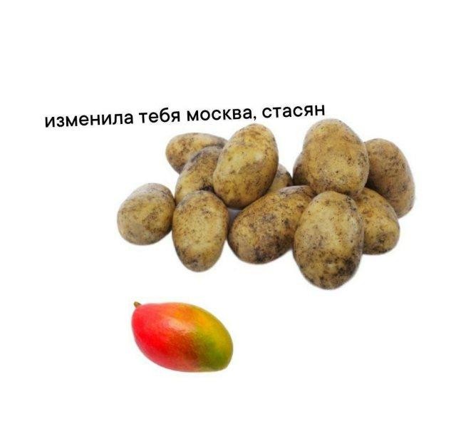 Картинки для деградации 286 (разной степени свежести)