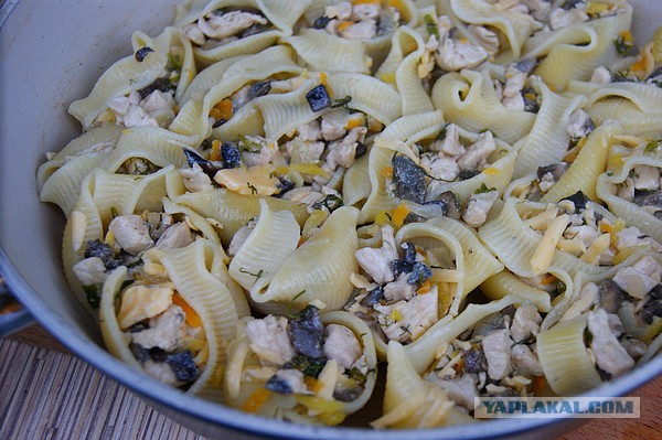 Ракушки фаршированные, Подосиновиками и курицей