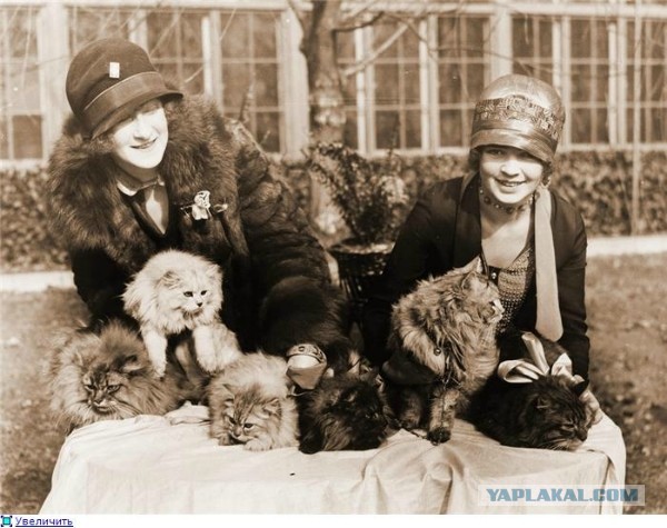 Пост действительно редких фотографий