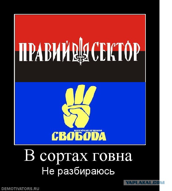 А в это время во Львове